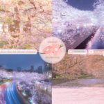 Japanese Sakura Relaxation Photos EP228 | Relaxing Music • 美しいリラックスミュージック • ヨガ瞑想リラクゼーション • 美しい音色 ピアノ